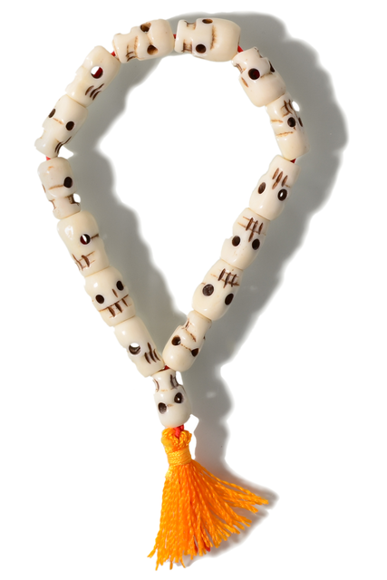 Bracelet Pant with Skull