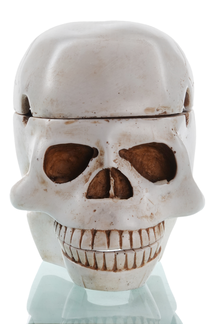 Piraten Totenkopf-Schale Kuraus in Beige Frontansicht