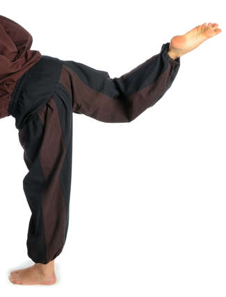Mittelalter Hose Tristan in Schwarz-Braun Rückansicht 2