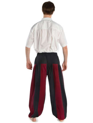 Mittelalter Hose Tristan in Schwarz-Rot Rückansicht
