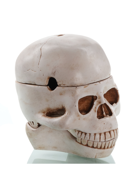 Piraten Totenkopf-Schale Kuraus in Beige Seitenansicht