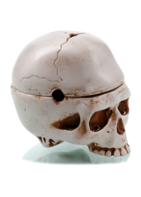 Piraten Totenkopf-Schale Kuraus in Beige Seitenansicht 2