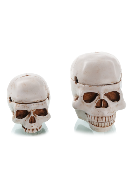 Piraten Totenkopf-Schale Kuraus Frontansicht