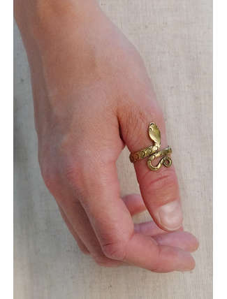 Mittelalter Ring Glaukos aus Messing in  Frontansicht 2