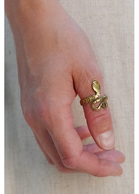 Mittelalter Ring Glaukos aus Messing in  Frontansicht 2