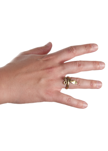 Mittelalter Ring Glaukos aus Messing in  Frontansicht 3