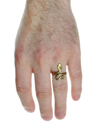 Mittelalter Ring Glaukos aus Messing in  Frontansicht 4
