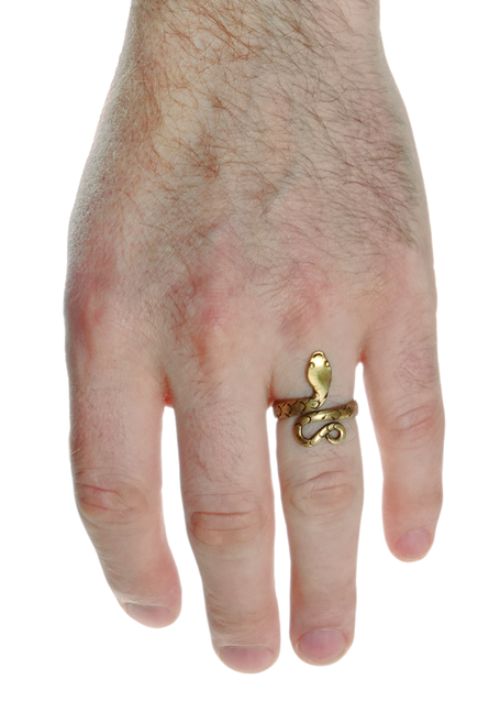 Mittelalter Ring Glaukos aus Messing in  Frontansicht 4