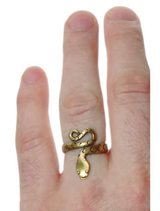 Mittelalter Ring Glaukos aus Messing in  Frontansicht 5