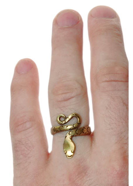 Mittelalter Ring Glaukos aus Messing in  Frontansicht 5
