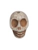 Piraten Totenkopf-Perle Karhet aus Resin in Beige Frontansicht